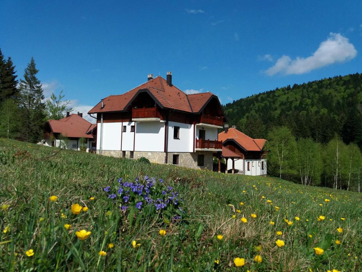 Apartmani Suncani Breg Tara Mitrovac Eksteriør billede